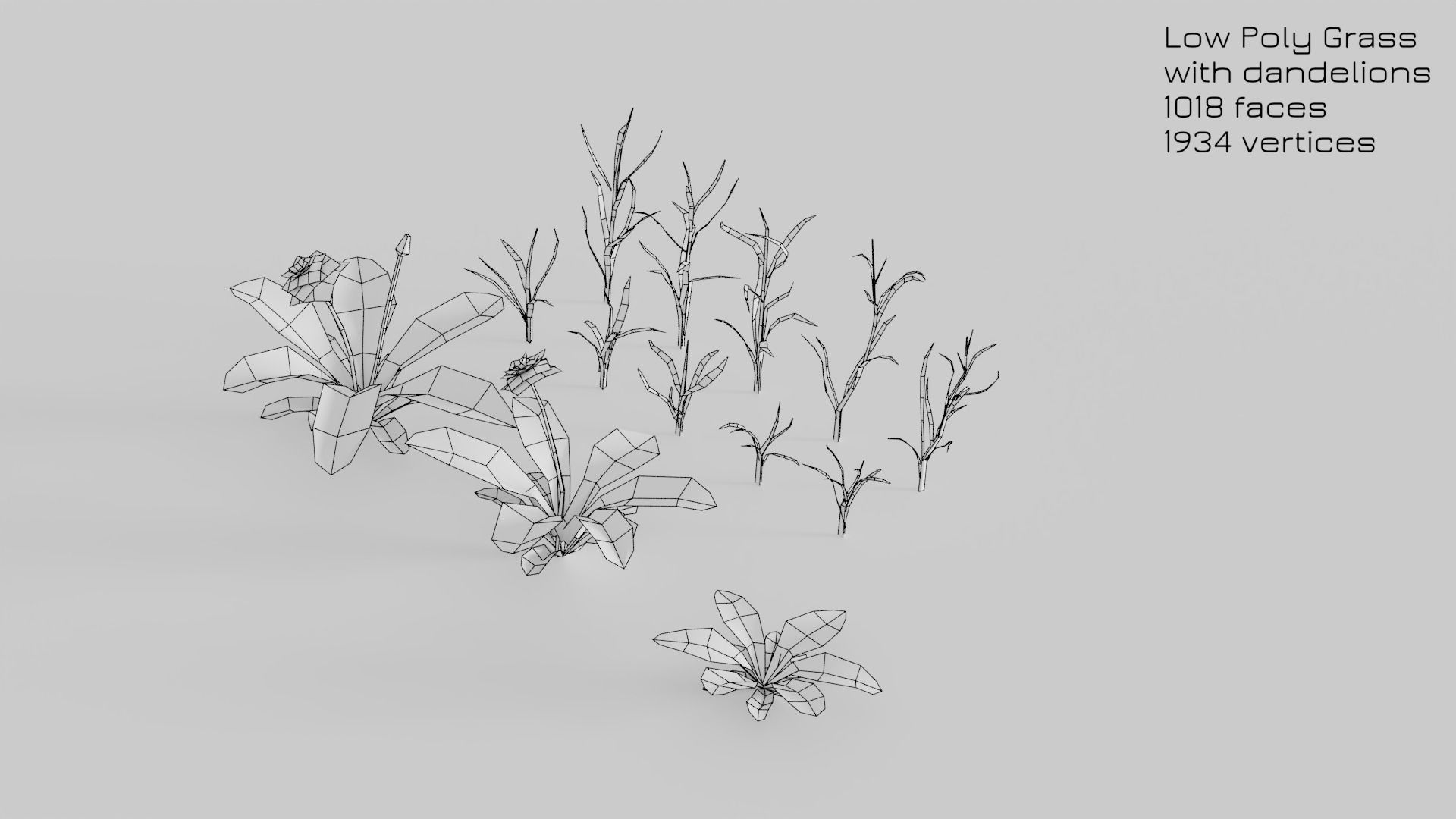 Dandelion Grass Low-poly 3D model_22