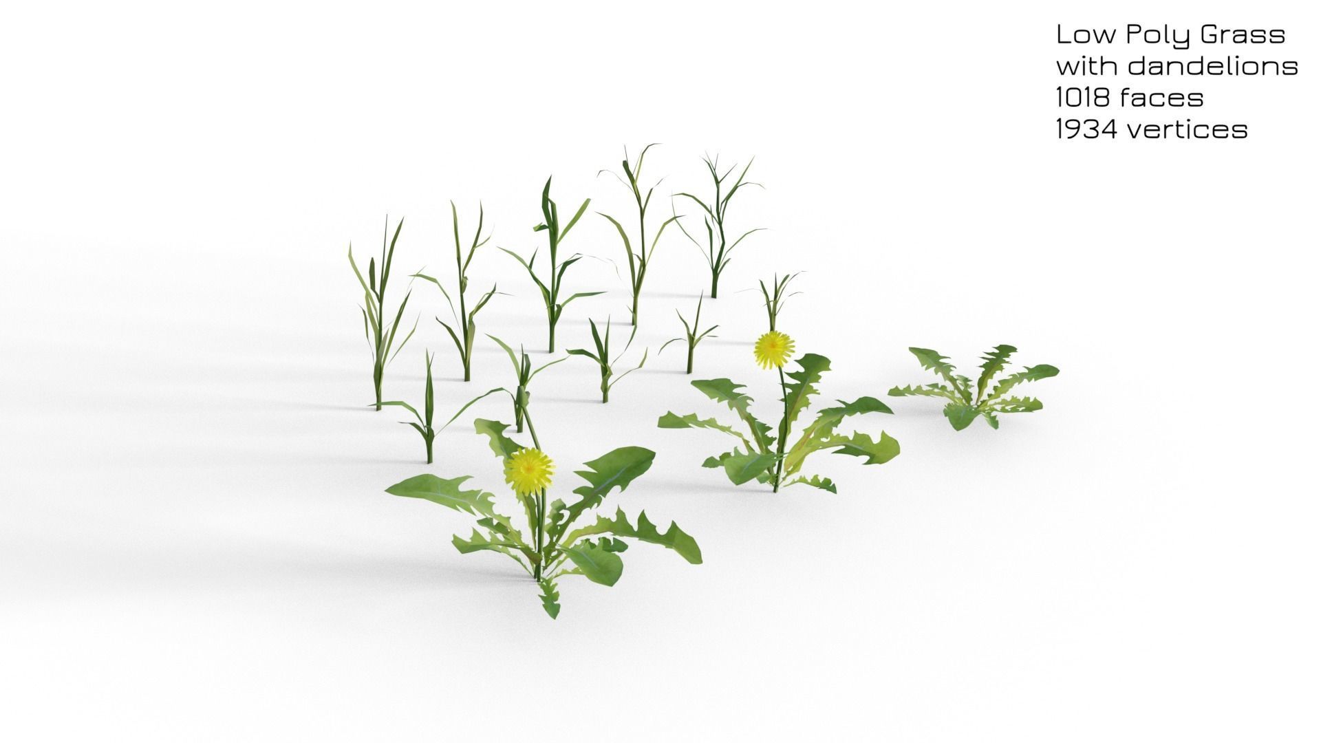 Dandelion Grass Low-poly 3D model_6