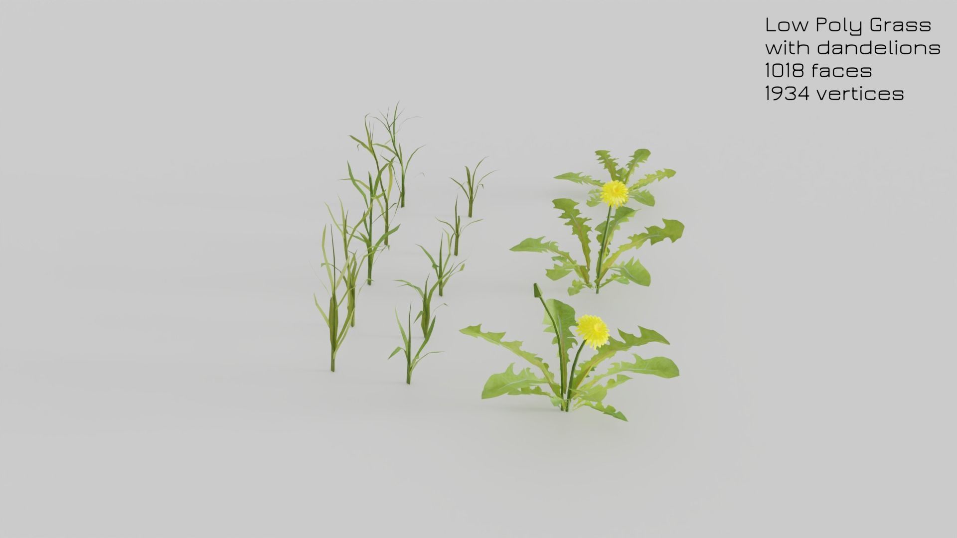 Dandelion Grass Low-poly 3D model_14