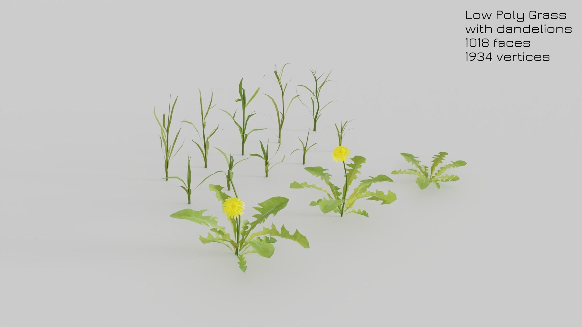 Dandelion Grass Low-poly 3D model_7