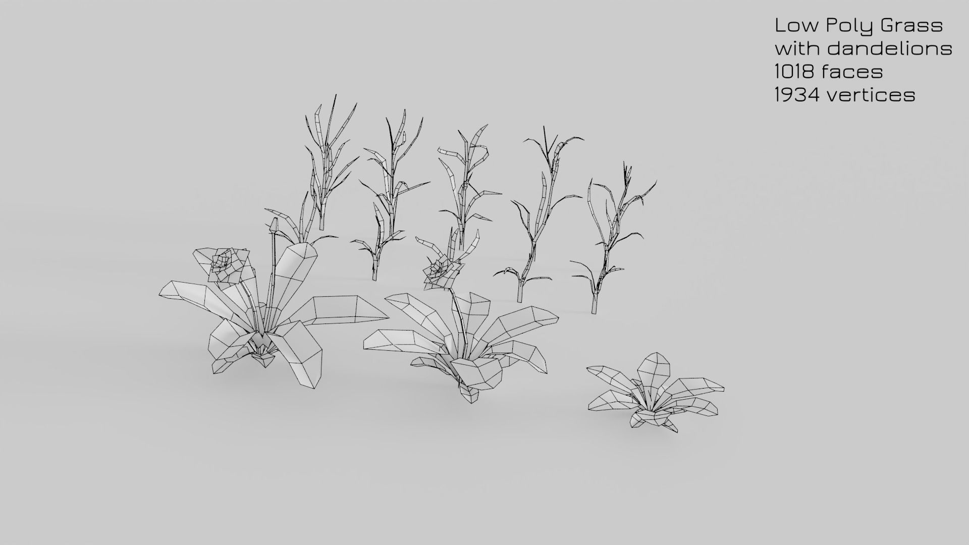 Dandelion Grass Low-poly 3D model_19