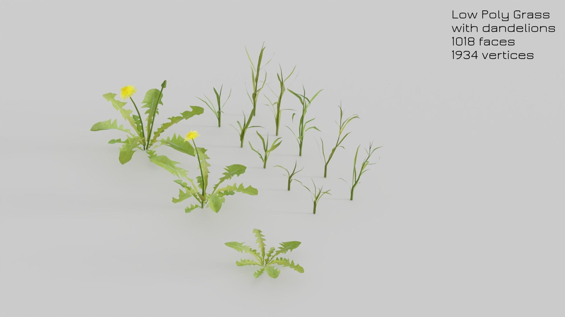Dandelion Grass Low-poly 3D model_9