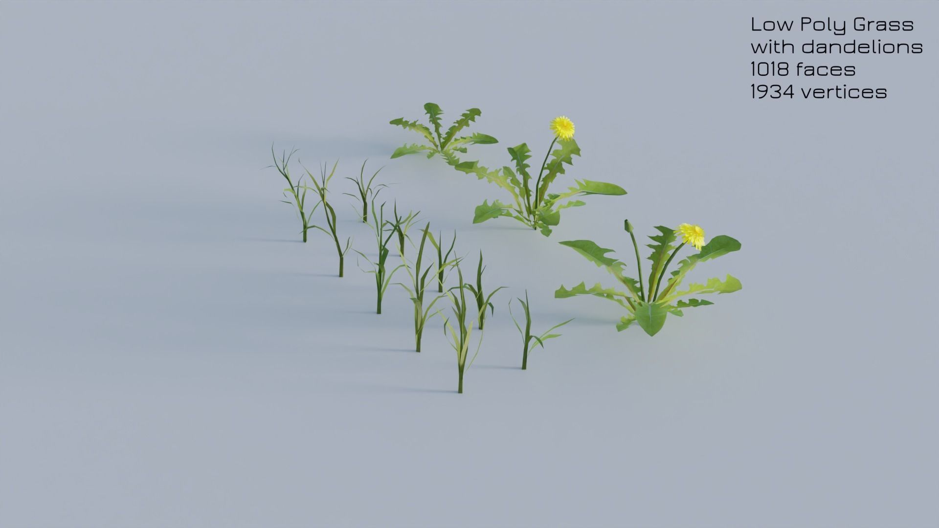 Dandelion Grass Low-poly 3D model_30