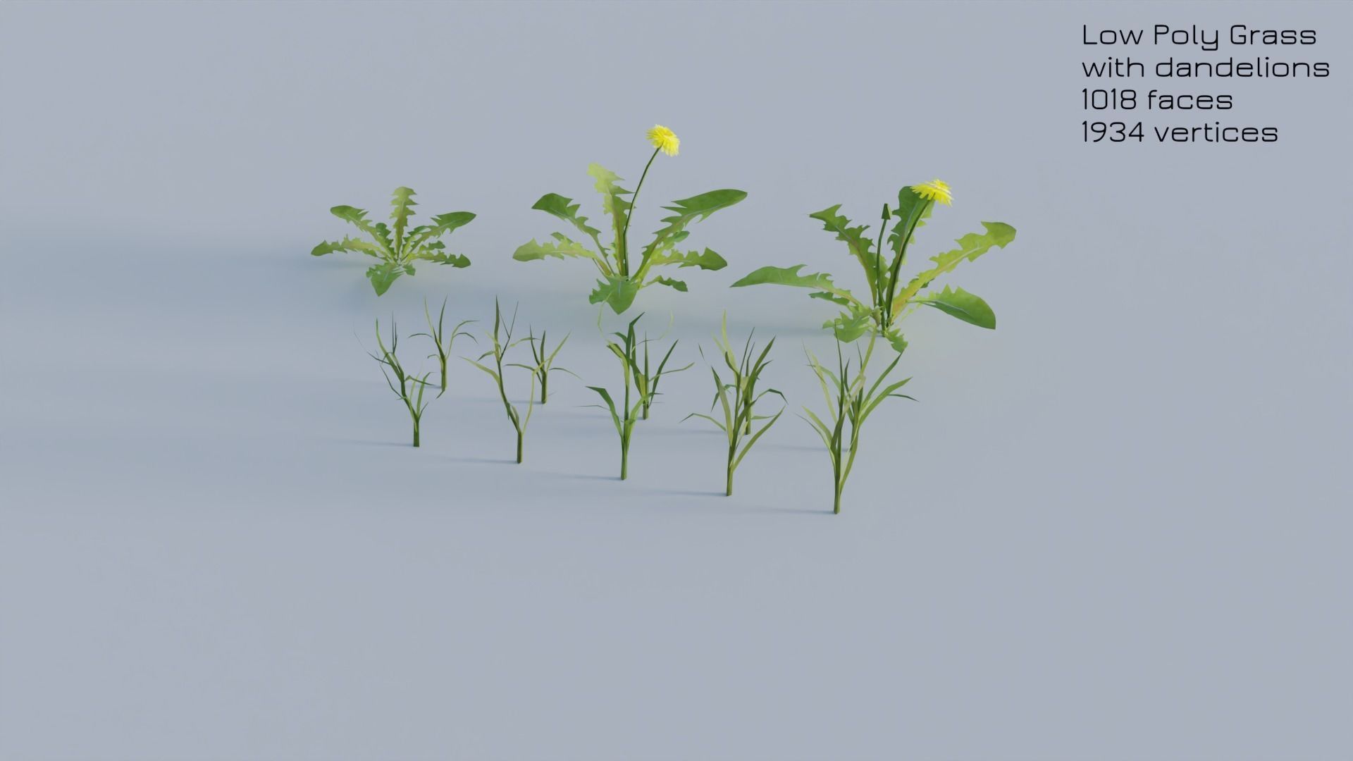 Dandelion Grass Low-poly 3D model_24