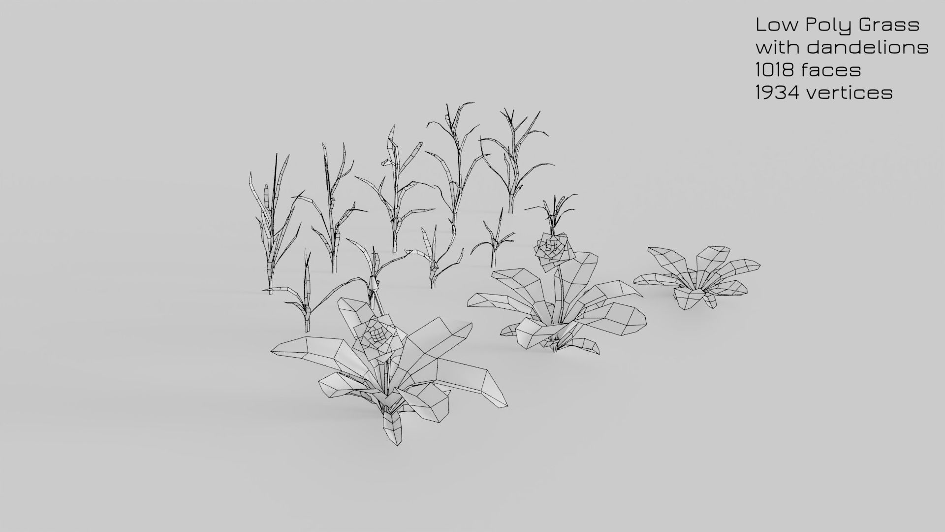 Dandelion Grass Low-poly 3D model_15