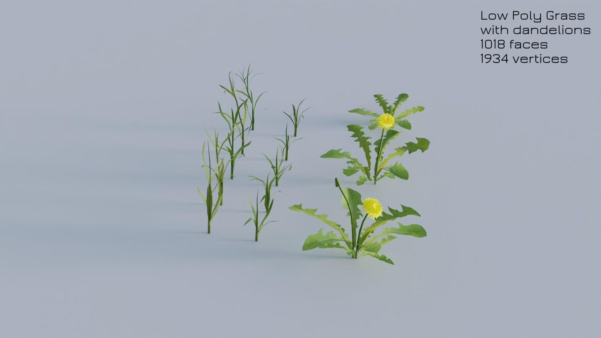 Dandelion Grass Low-poly 3D model_29