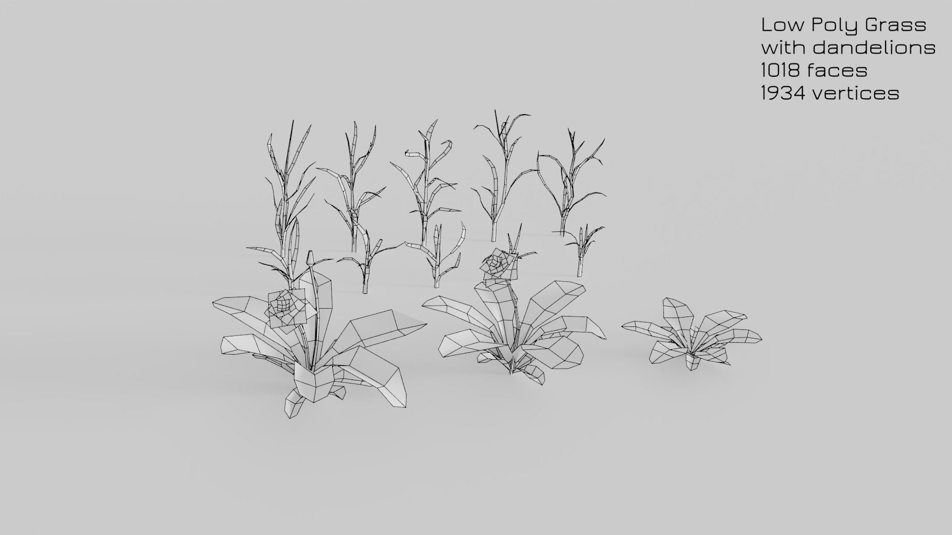 Dandelion Grass Low-poly 3D model_17