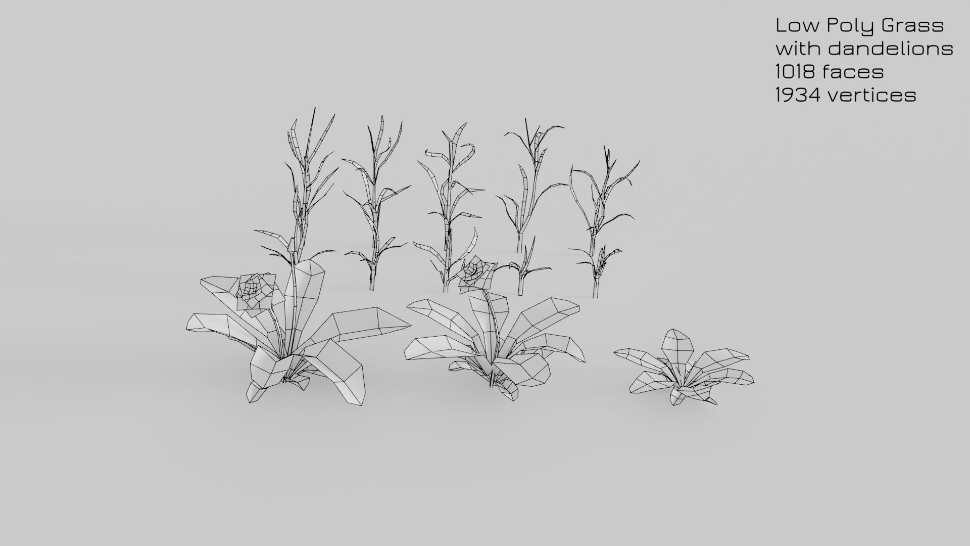 Dandelion Grass Low-poly 3D model_18
