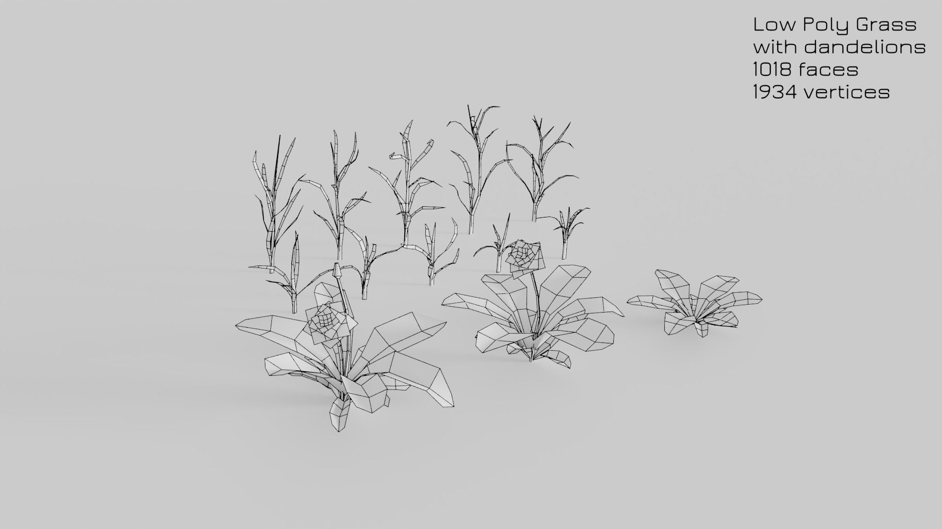 Dandelion Grass Low-poly 3D model_16