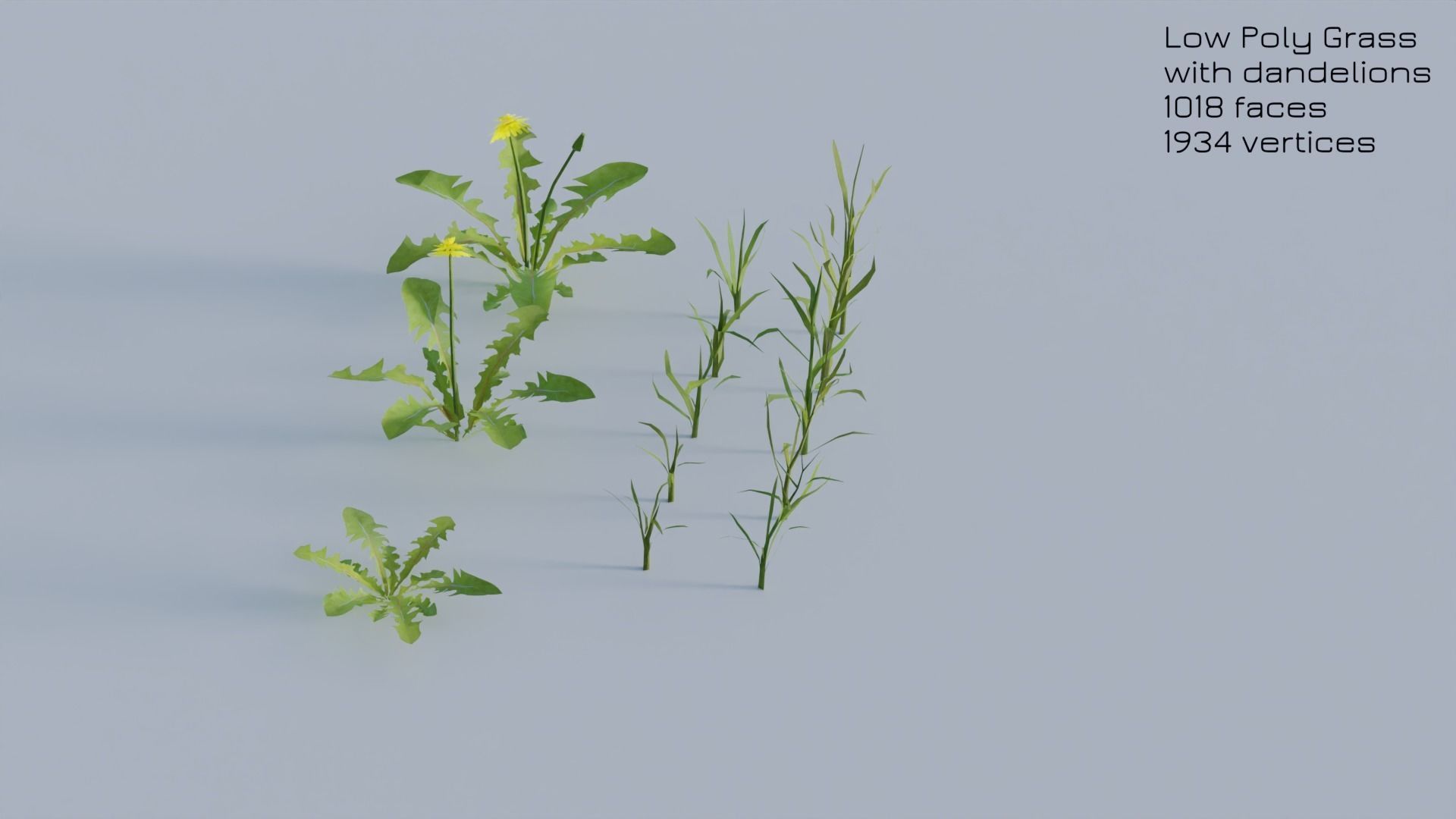 Dandelion Grass Low-poly 3D model_28
