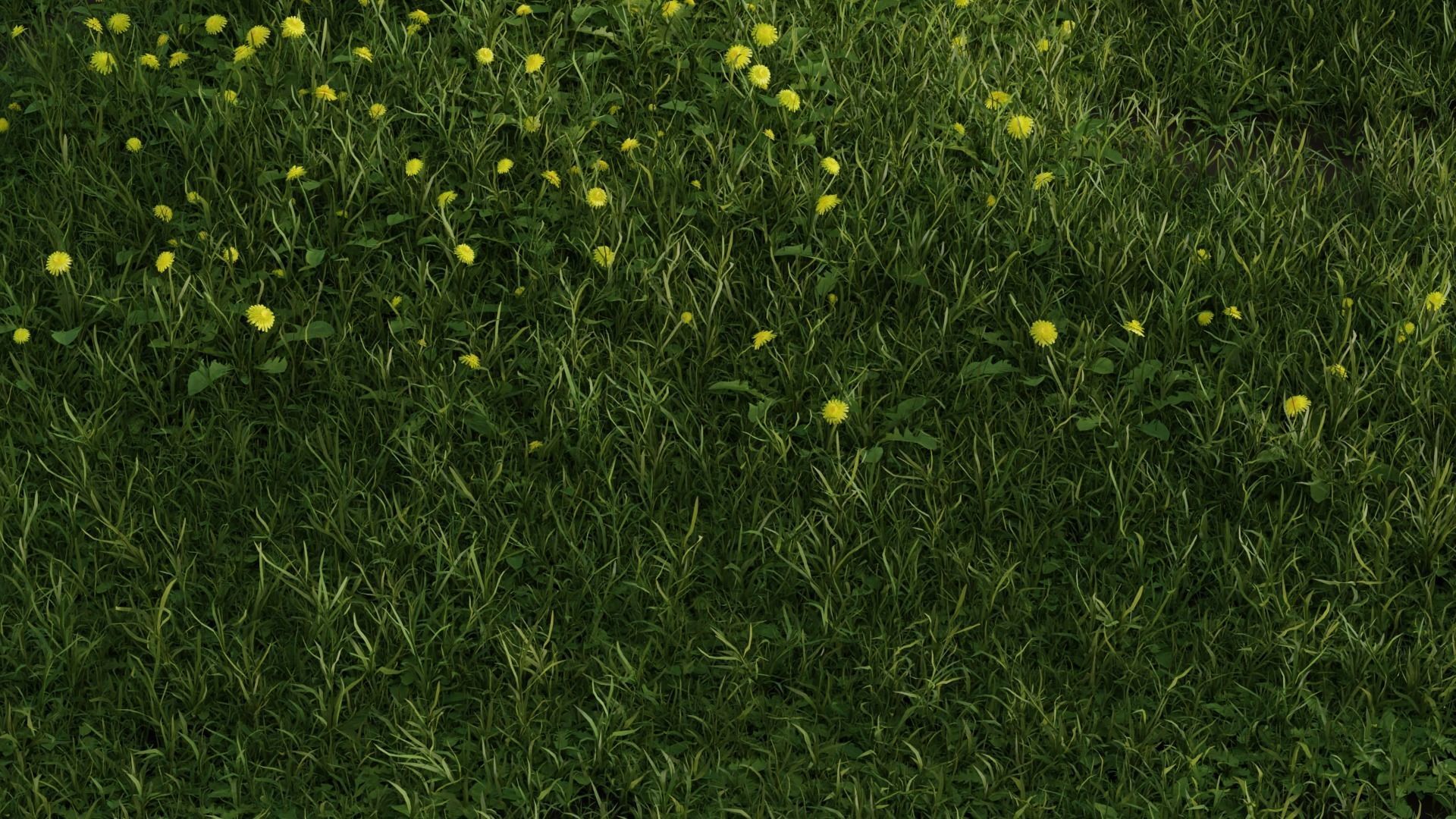 Dandelion Grass Low-poly 3D model_3