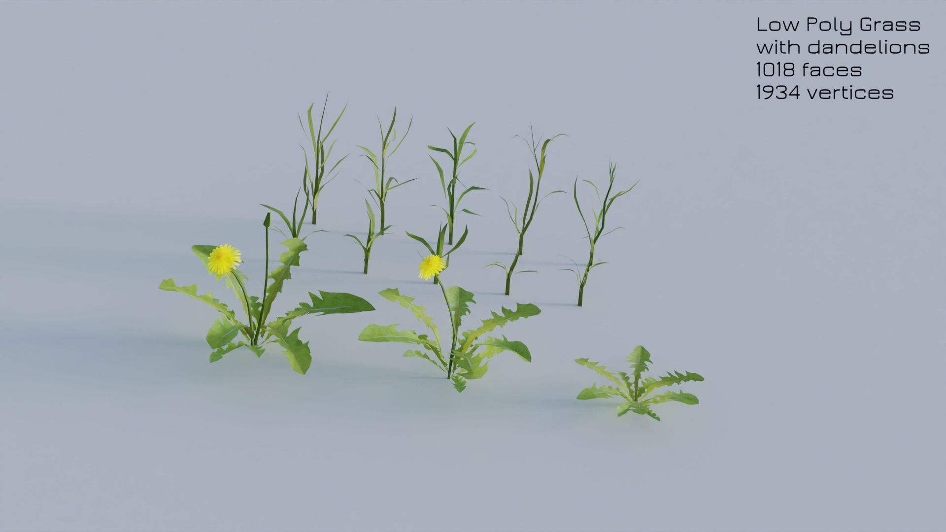 Dandelion Grass Low-poly 3D model_26