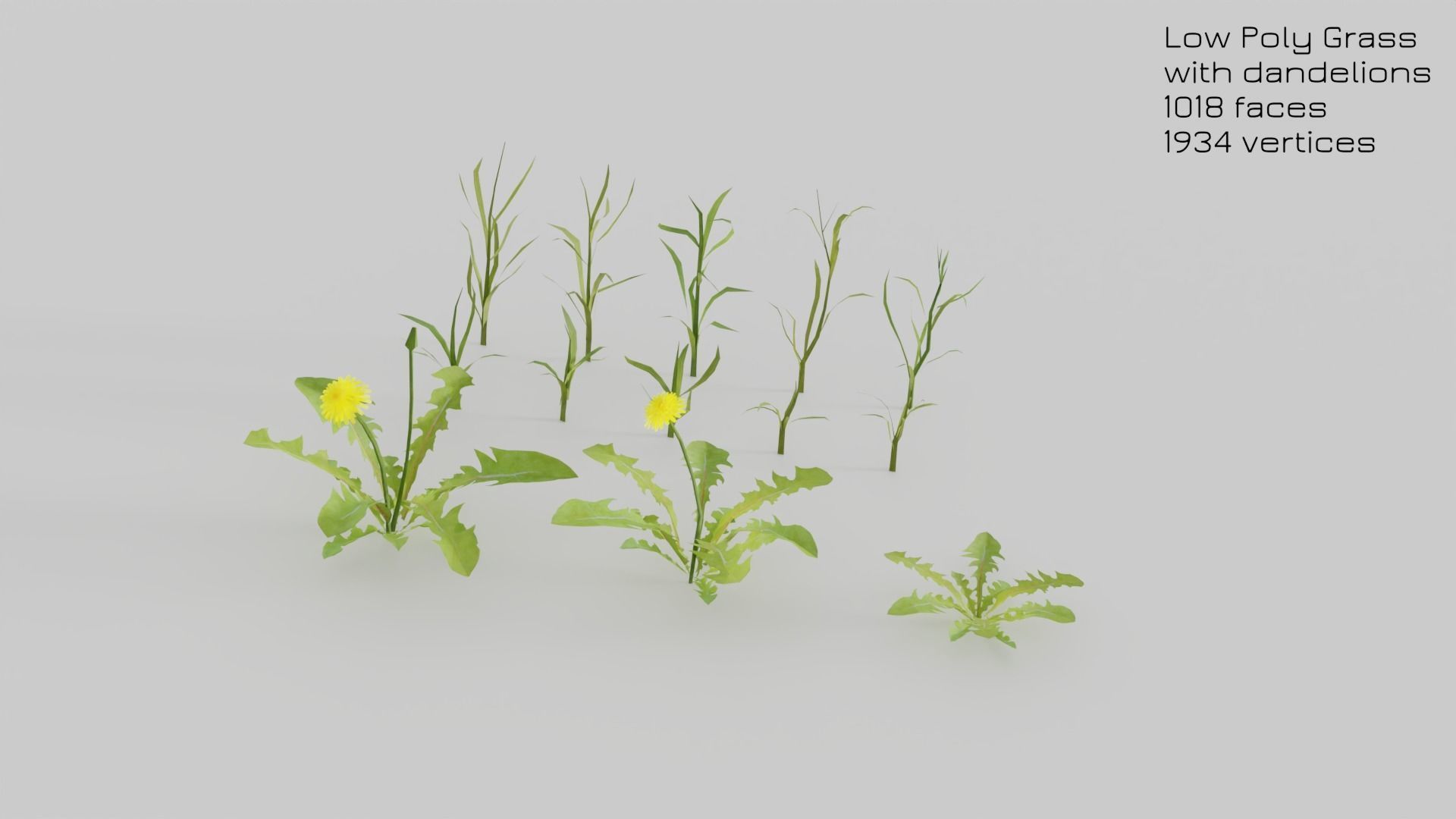 Dandelion Grass Low-poly 3D model_8