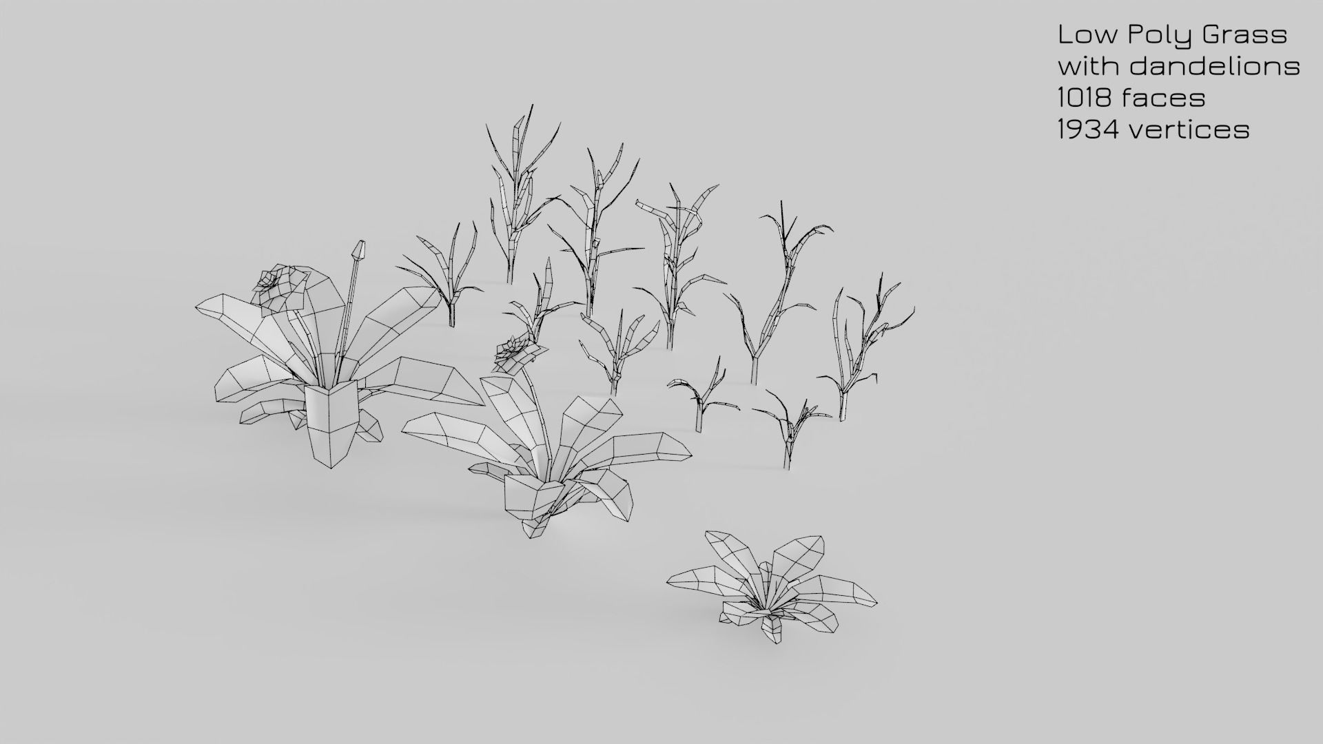 Dandelion Grass Low-poly 3D model_21