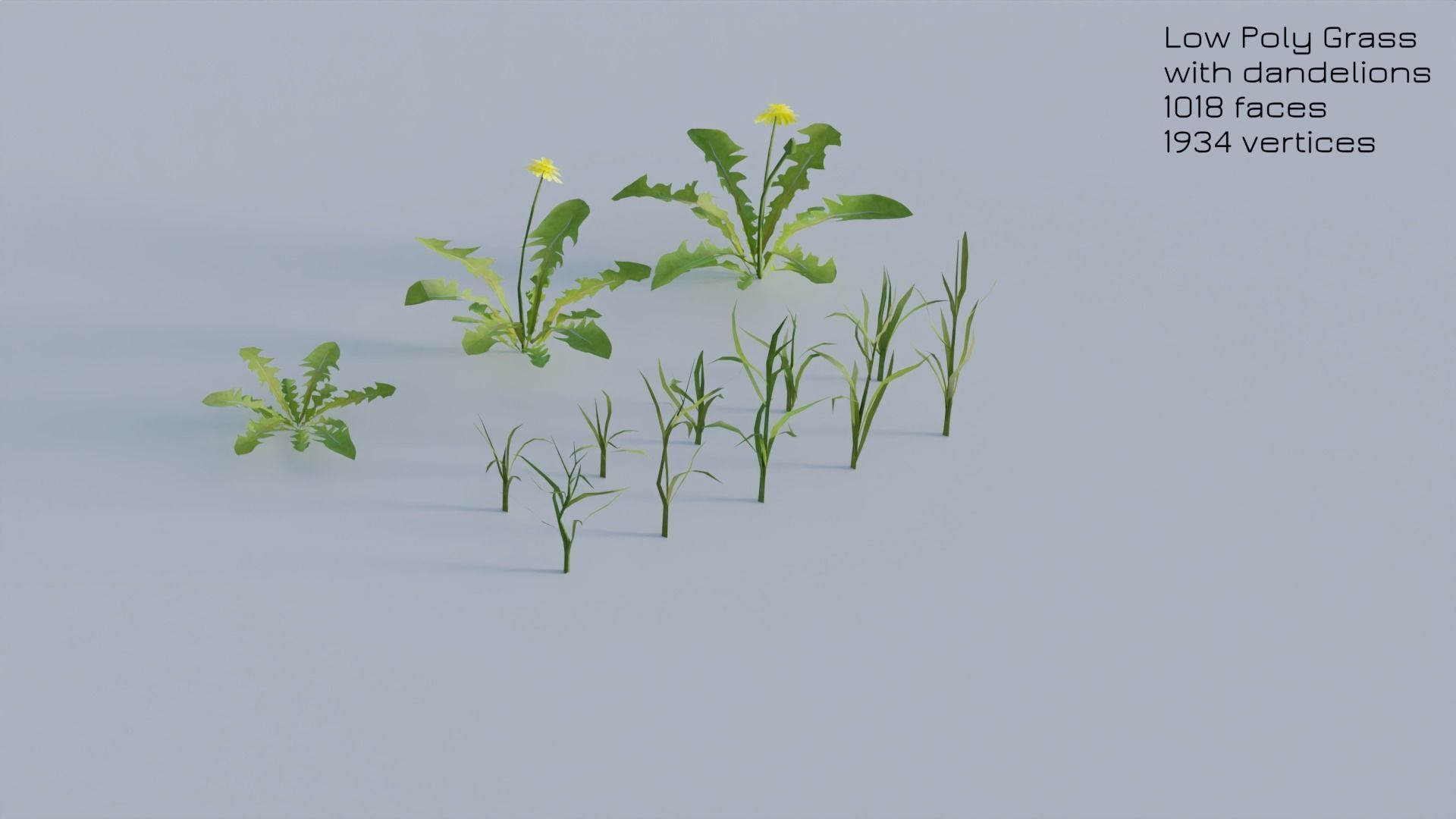 Dandelion Grass Low-poly 3D model_25