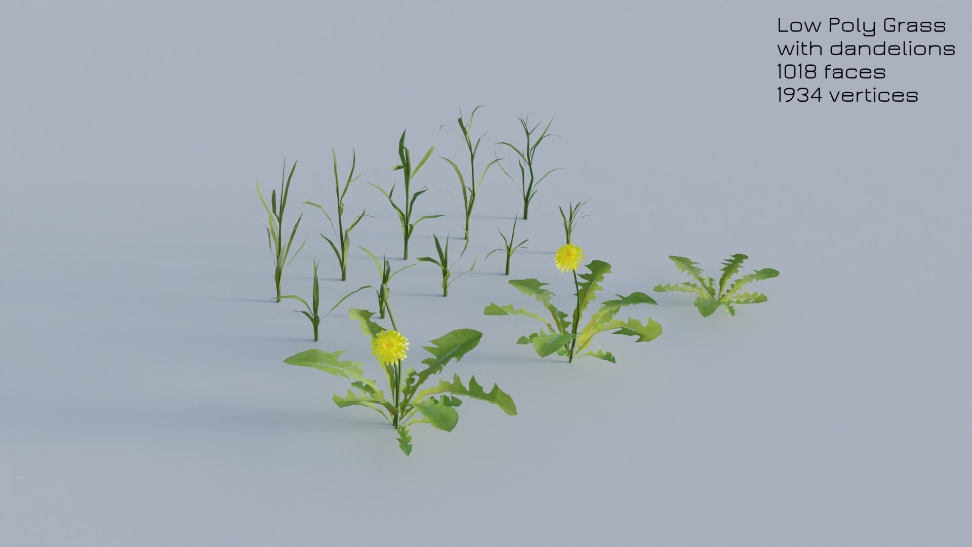 Dandelion Grass Low-poly 3D model_23