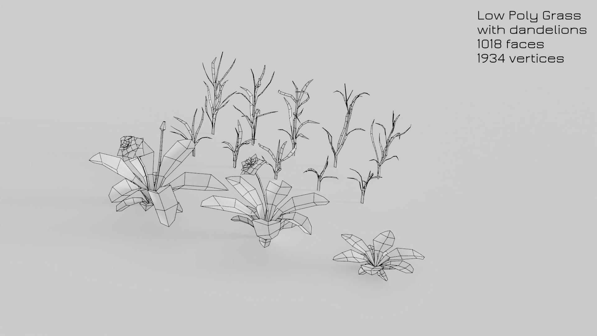 Dandelion Grass Low-poly 3D model_20