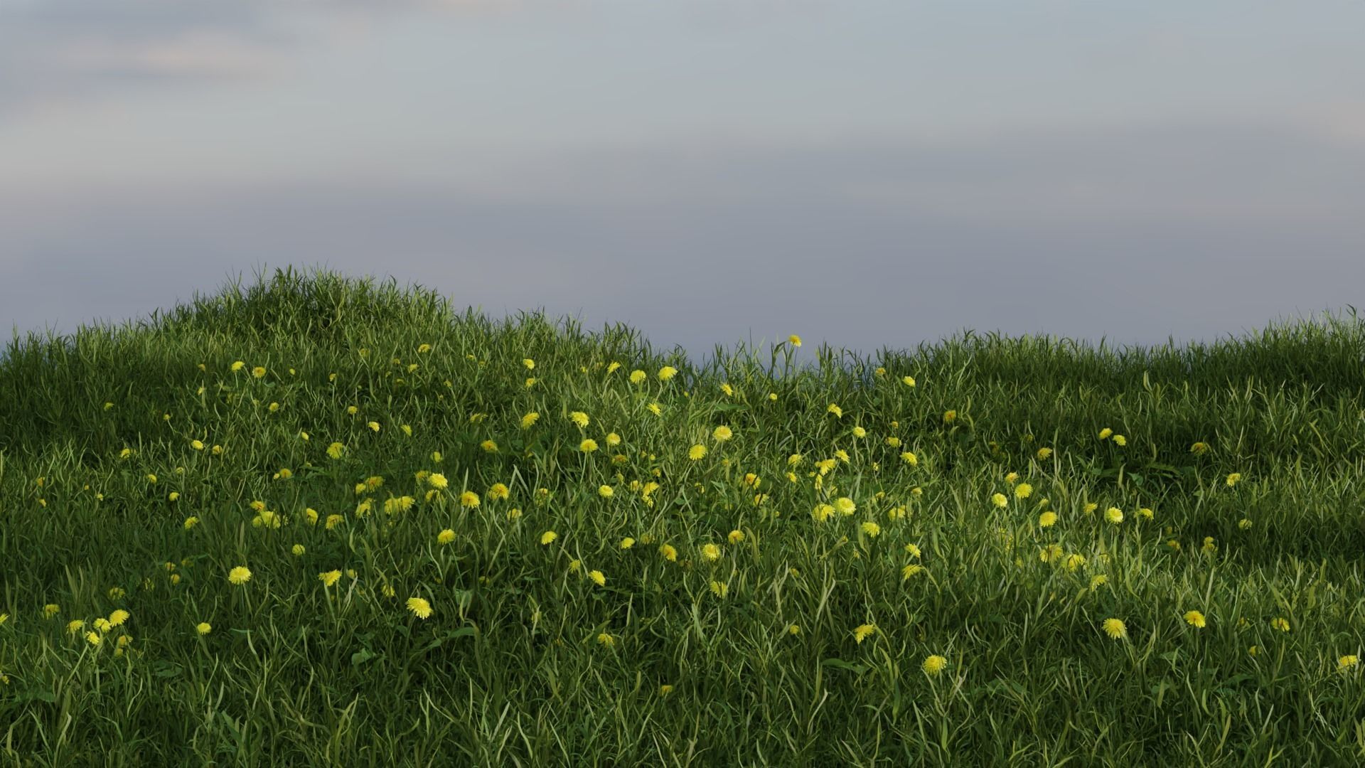 Dandelion Grass Low-poly 3D model_0