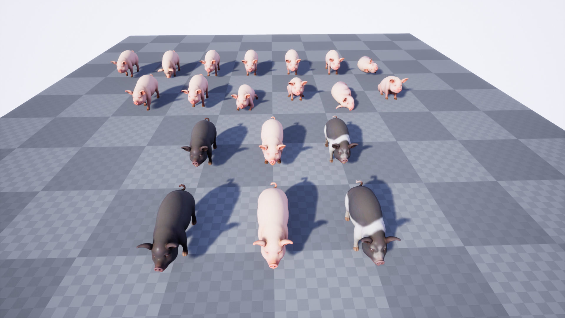 Pig stylized Low-poly 3D model_11