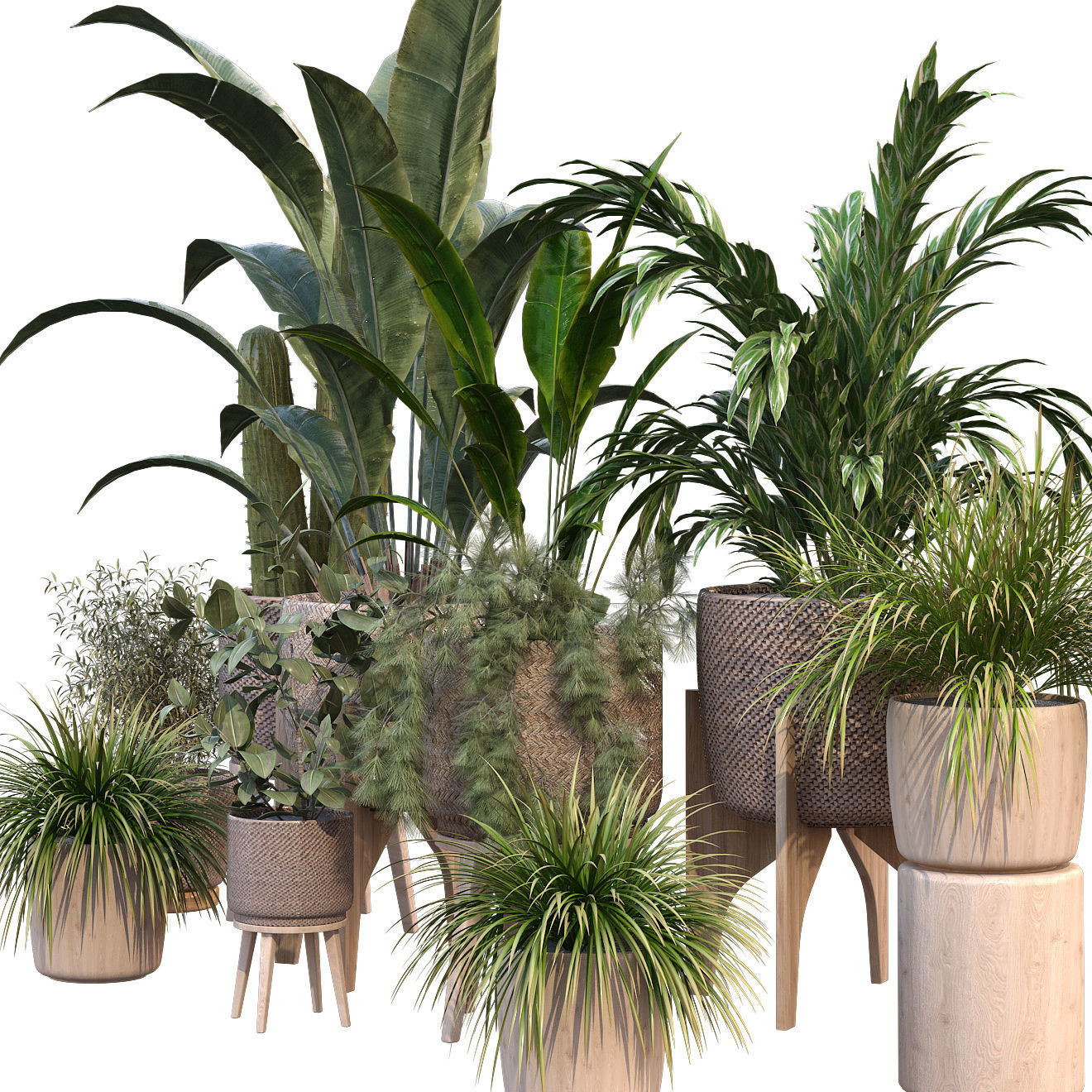 plant in vase collection set 212 3D model_1