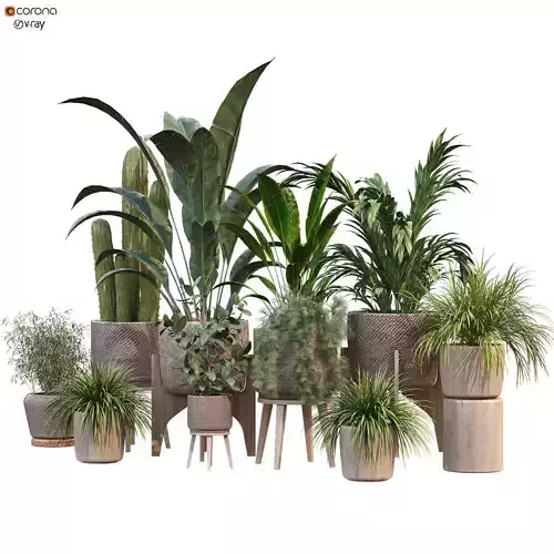 plant in vase collection set 212