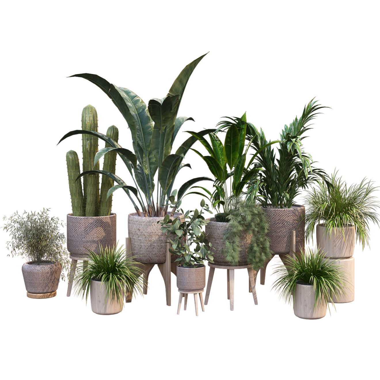 plant in vase collection set 212 3D model_2