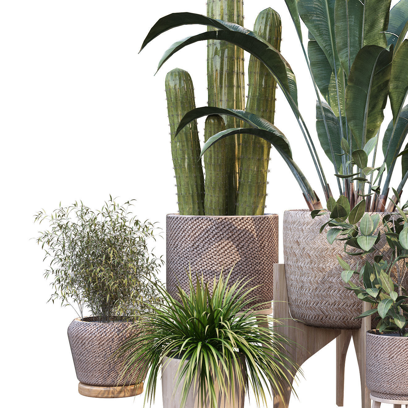 plant in vase collection set 212 3D model_3