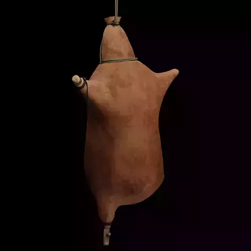 Waterskin - Odre 3D model