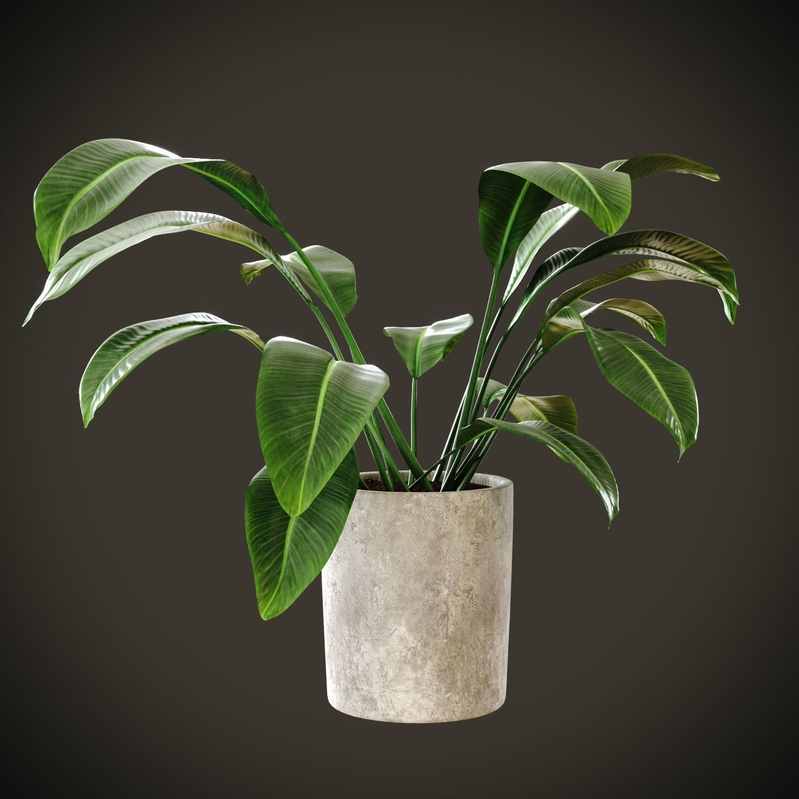 Prado Restaurant Lisbon 3D model_14