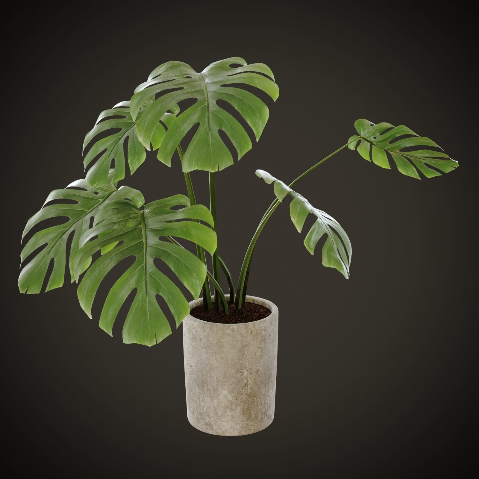 Prado Restaurant Lisbon 3D model_11