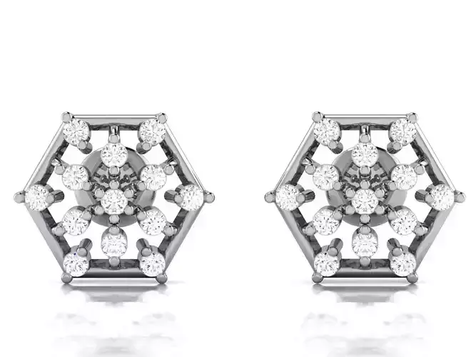 Women Earrings 3D print model