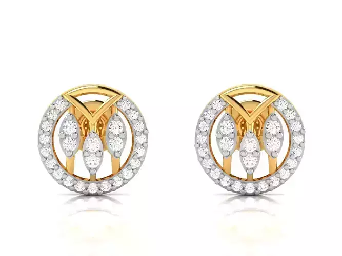 Women Earrings 3D print model