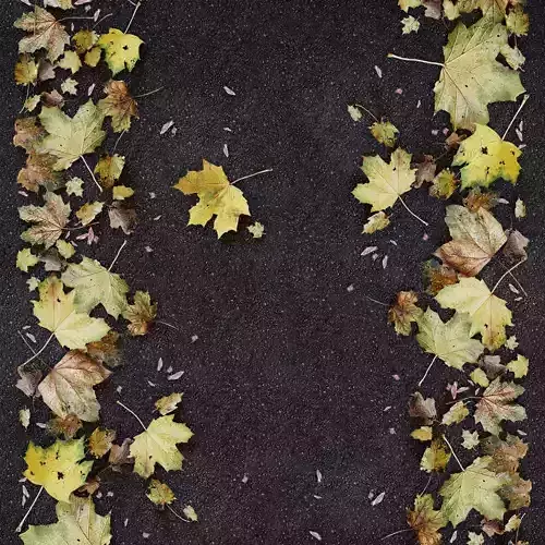 Autumn leaves 4 3D model