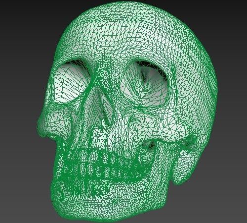 Human Skull 3D model_11