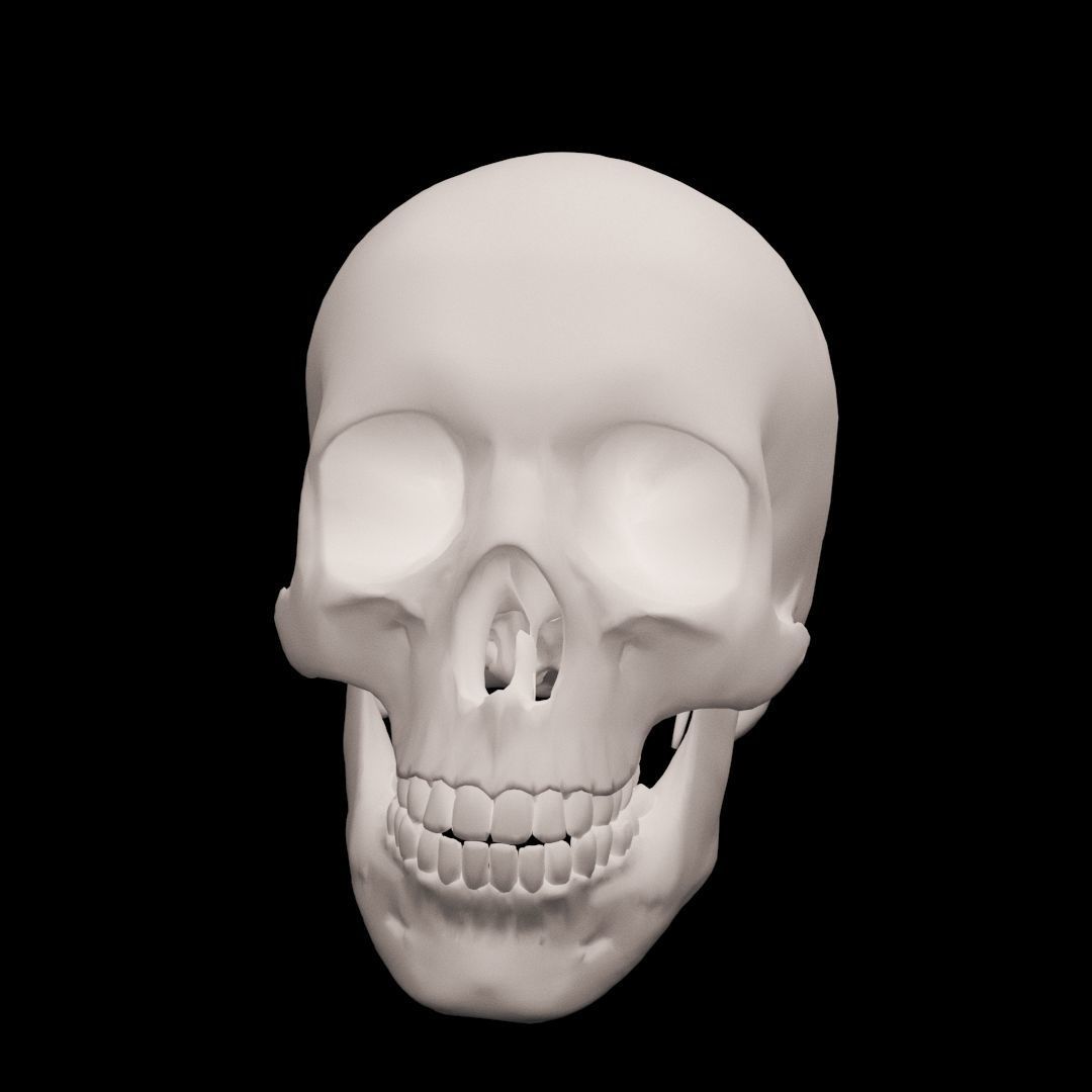 Human Skull 3D model_4