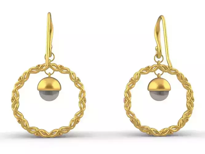braided hook earrings 3D print model
