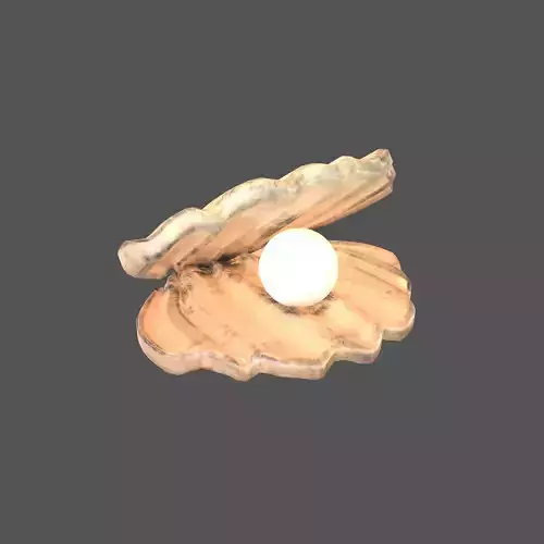 Shell With Pearl v1 002