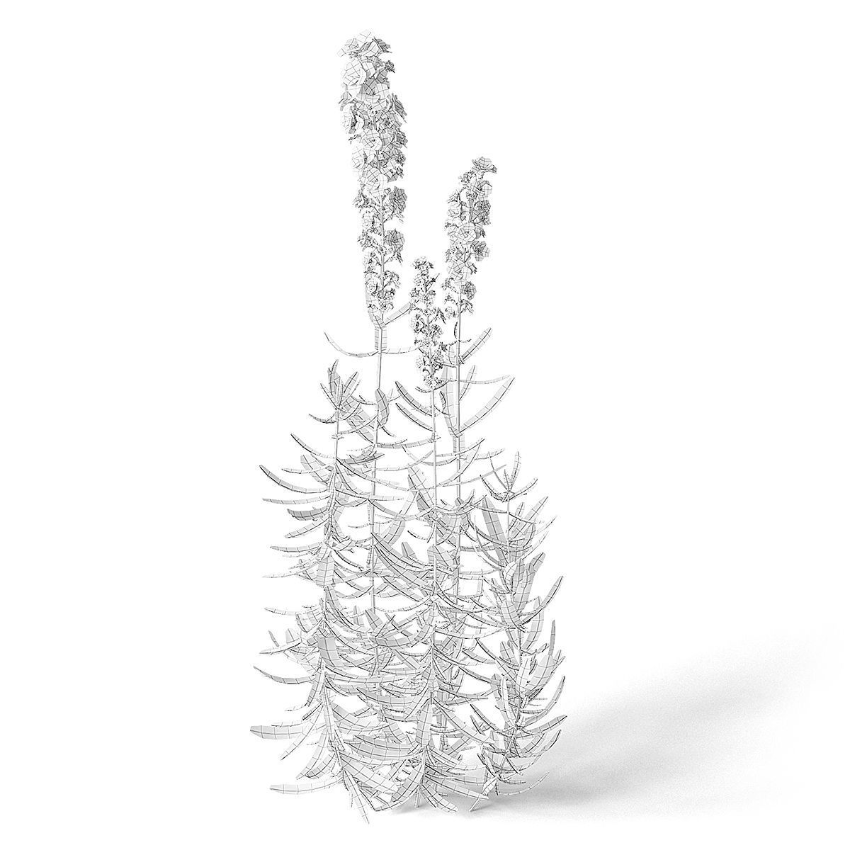 Meadow Plant 3D model_1