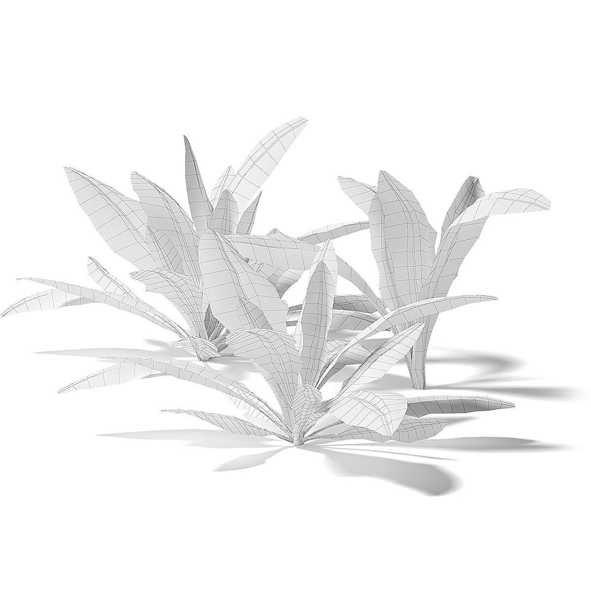 Meadow Plant Dandelion 3D model_1