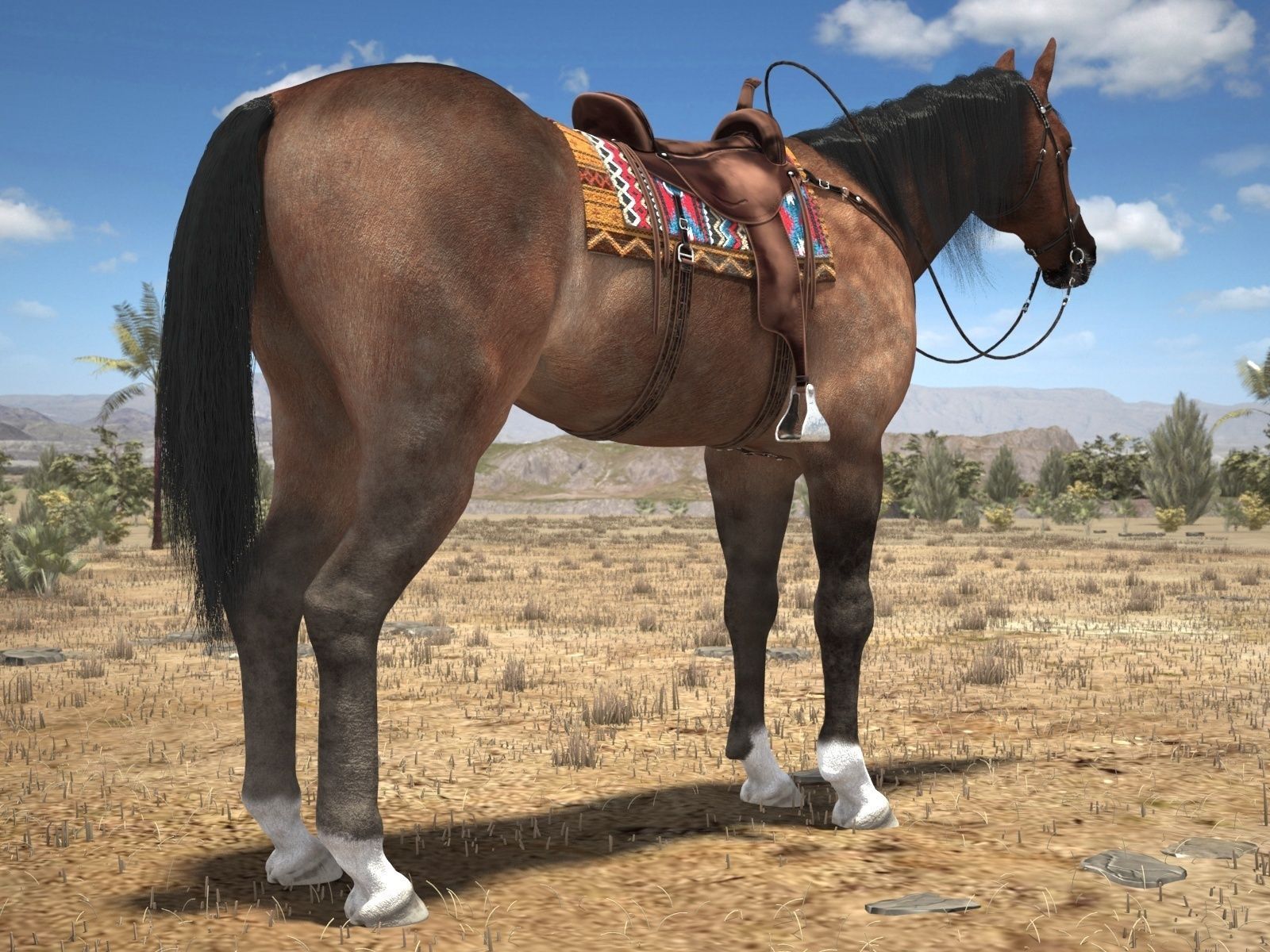 Cowboy Horse with saddle 3D model_1