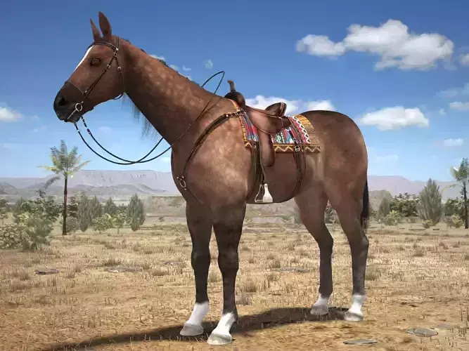 Cowboy Horse with saddle 3D model