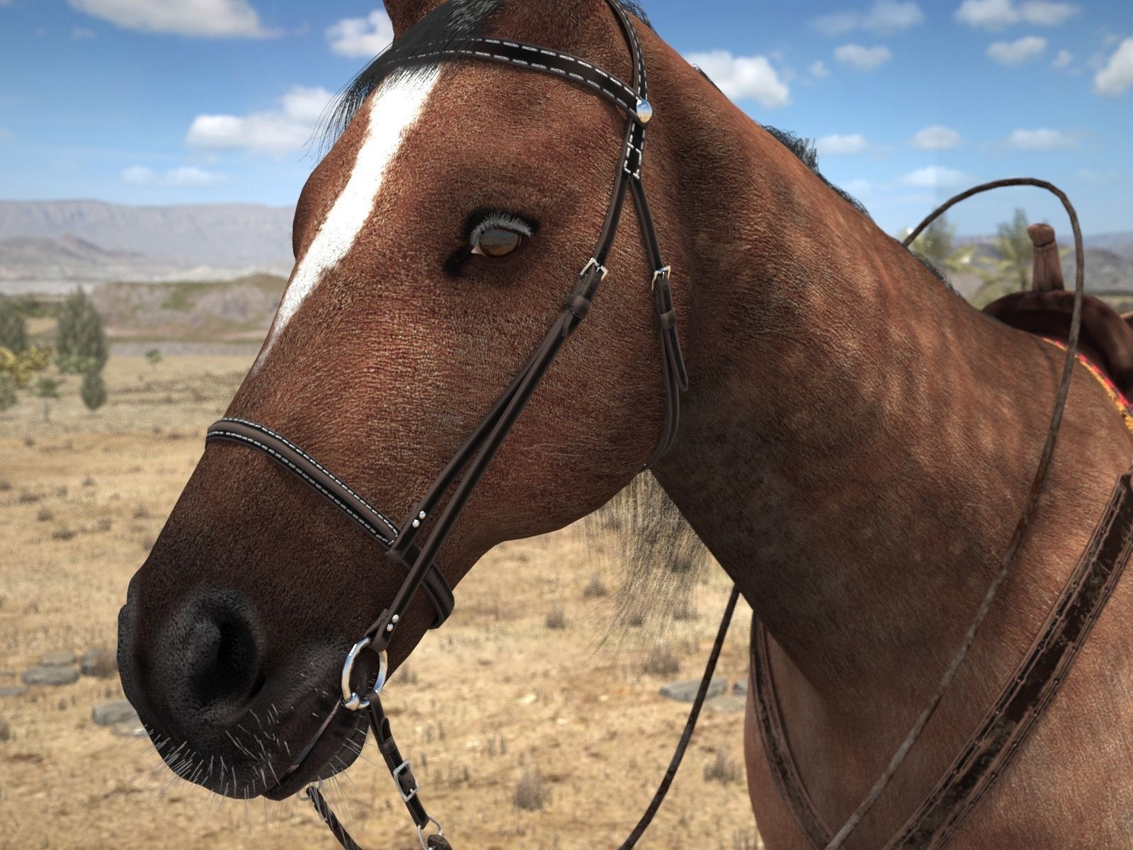 Cowboy Horse with saddle 3D model_7