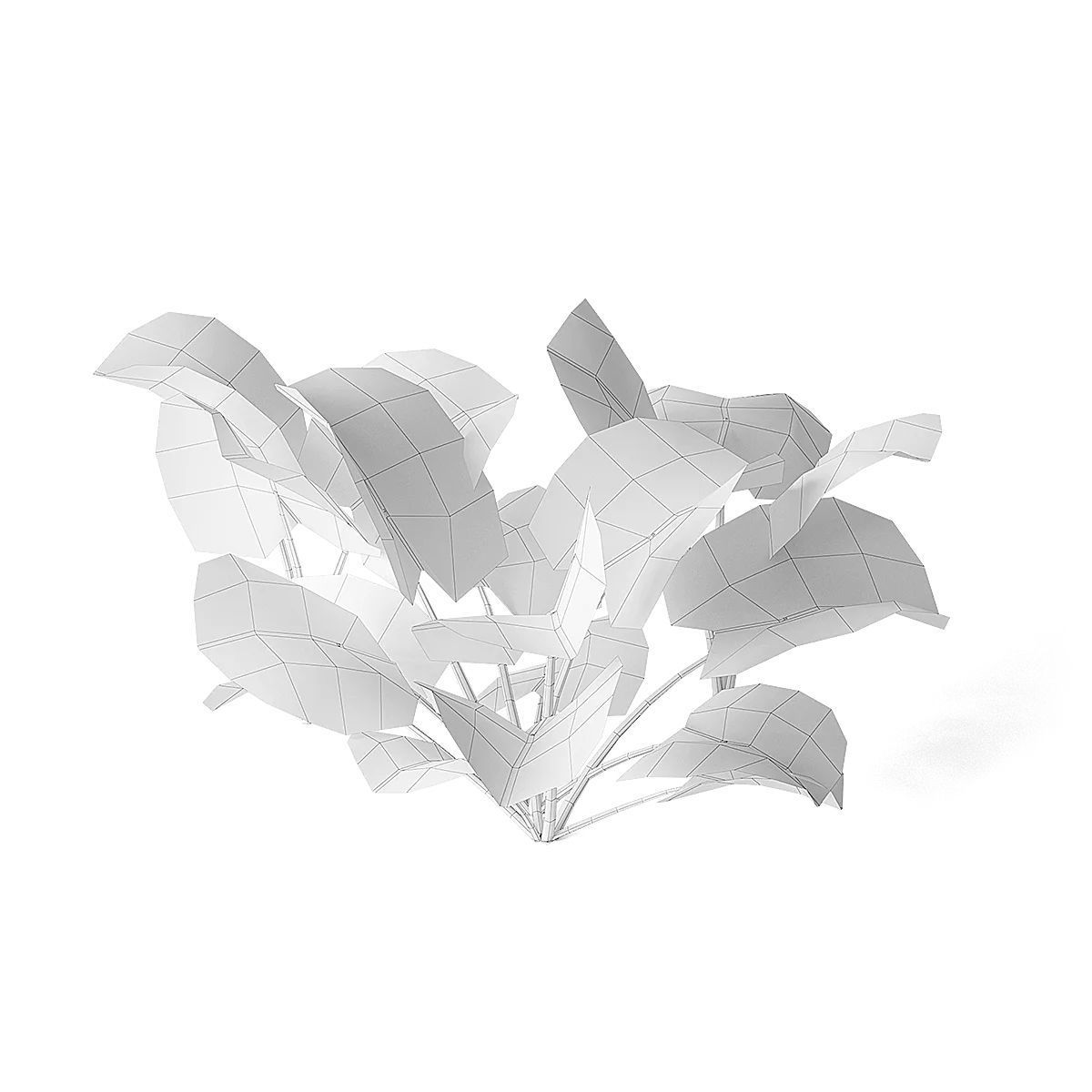 Meadow Plant 3D model_1