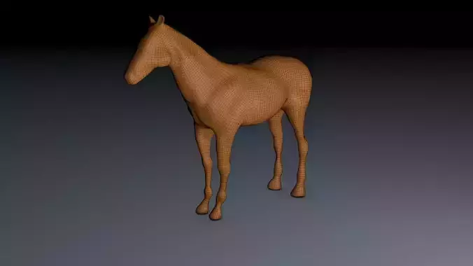 Horse