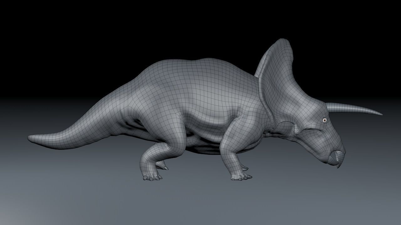 Triceratops dinosaur 3D model_2