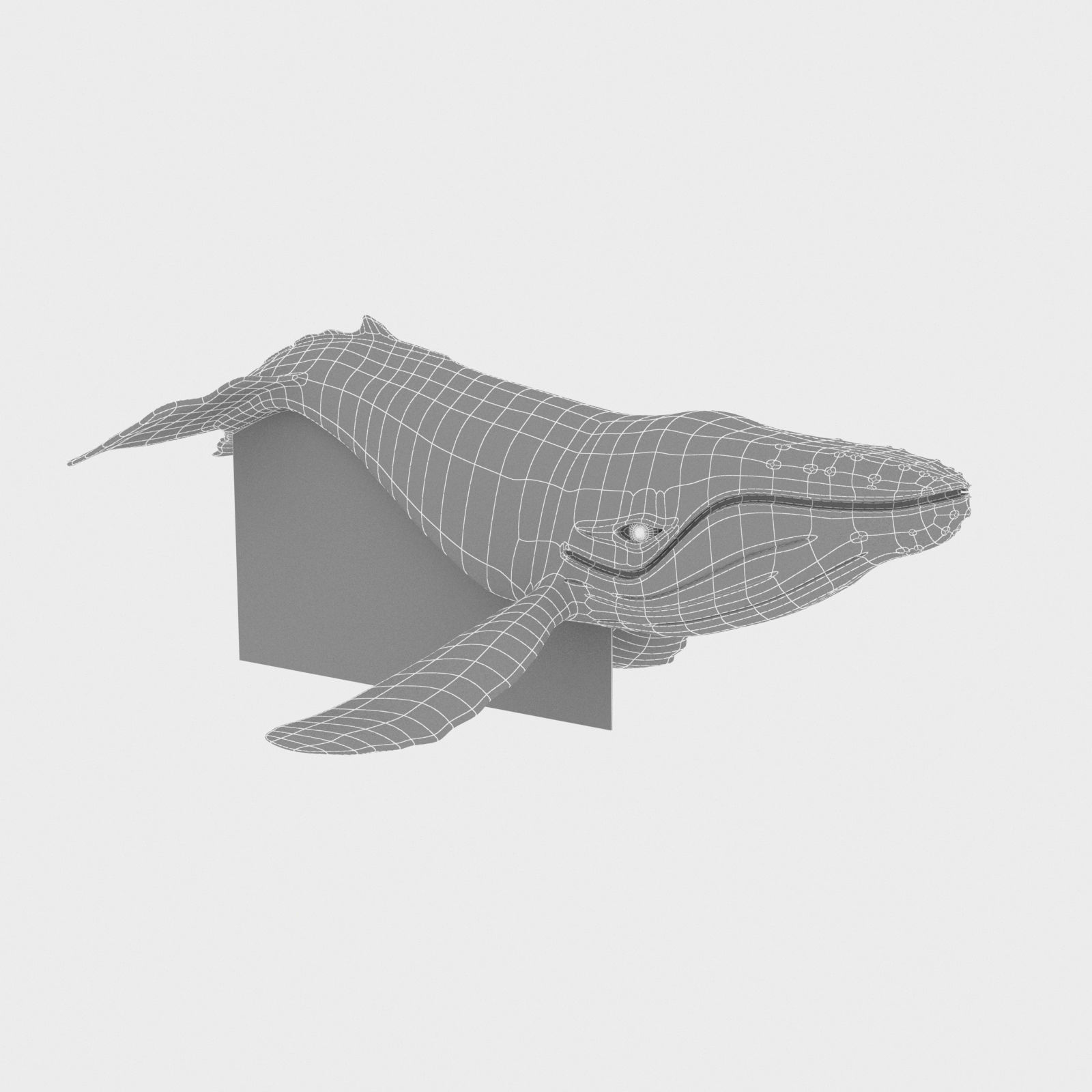 Porcelaine whale 3D model_1