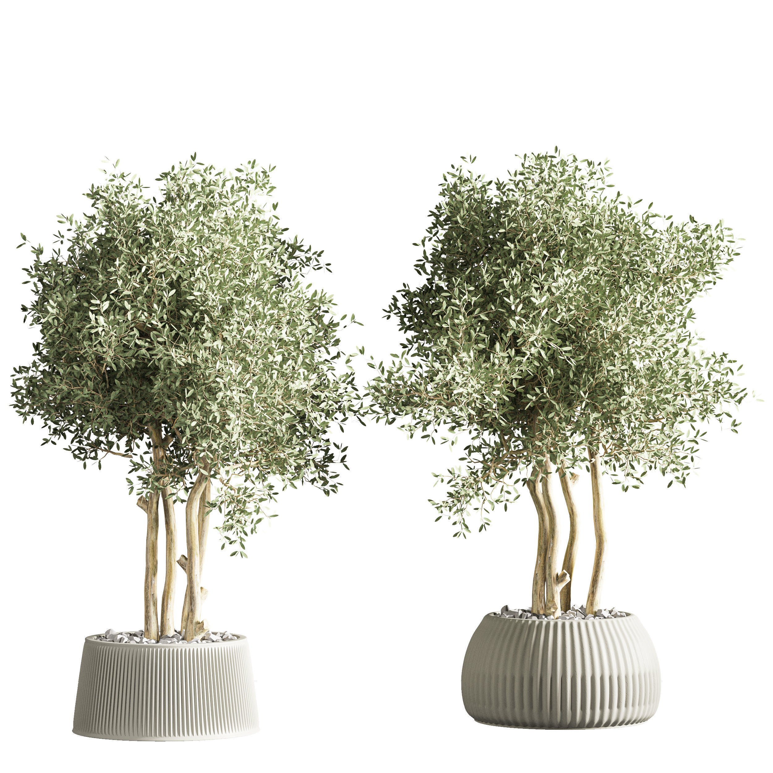 indoor plant stand 31 3D model_5