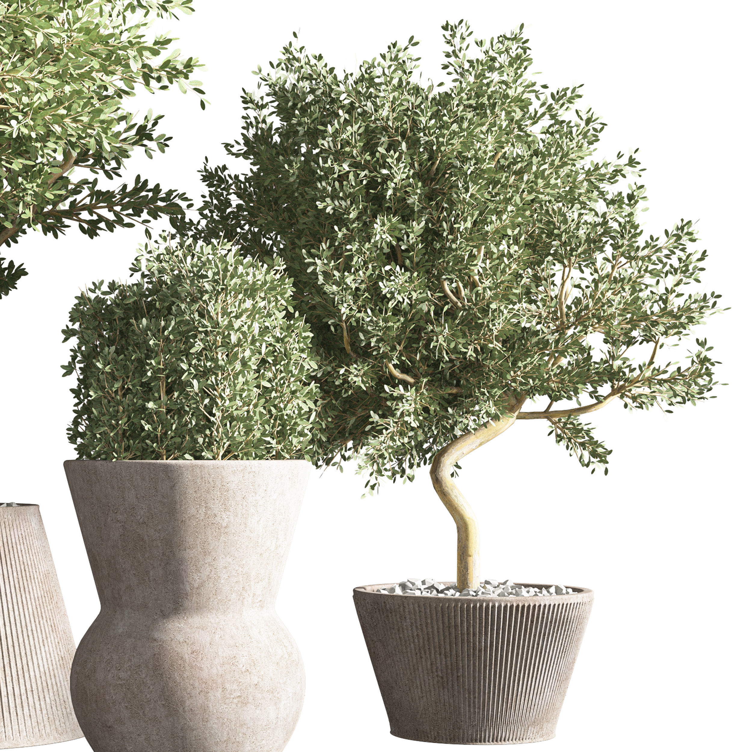 indoor plant stand 32 3D model_3