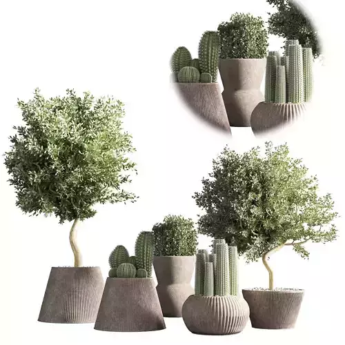 indoor plant stand 32 3D model