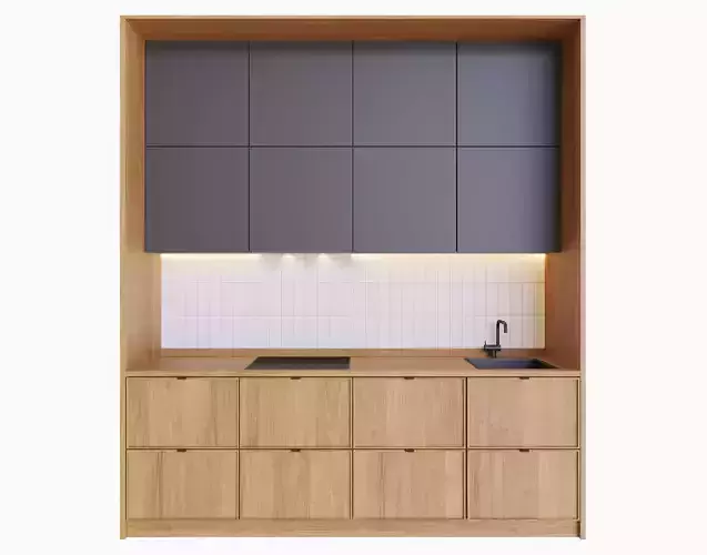 Modern Kitchen 17